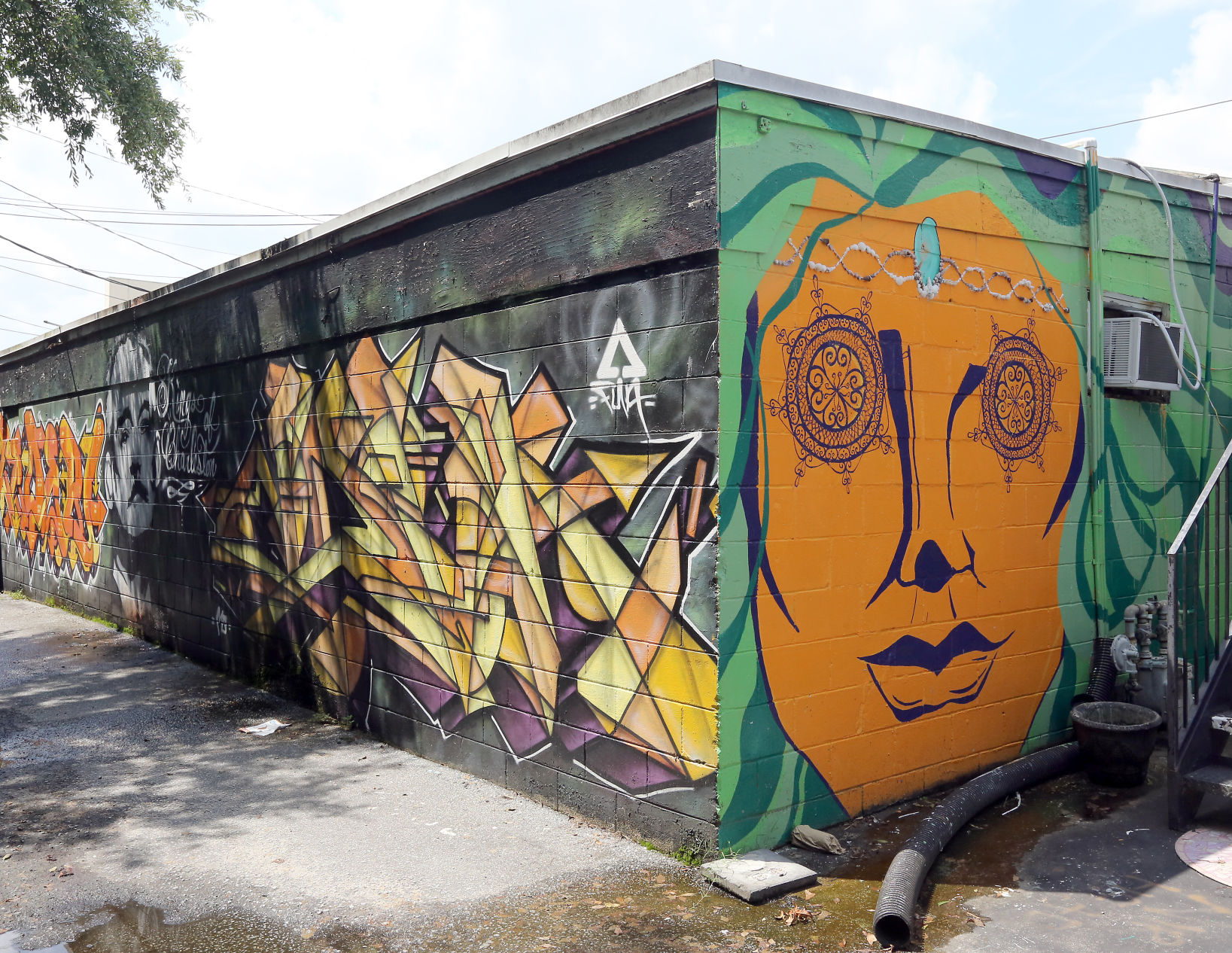 Avondale Mural Art